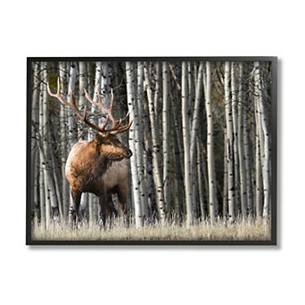 Stupell Home Decor Elk Birch Trees Framed Wall Art