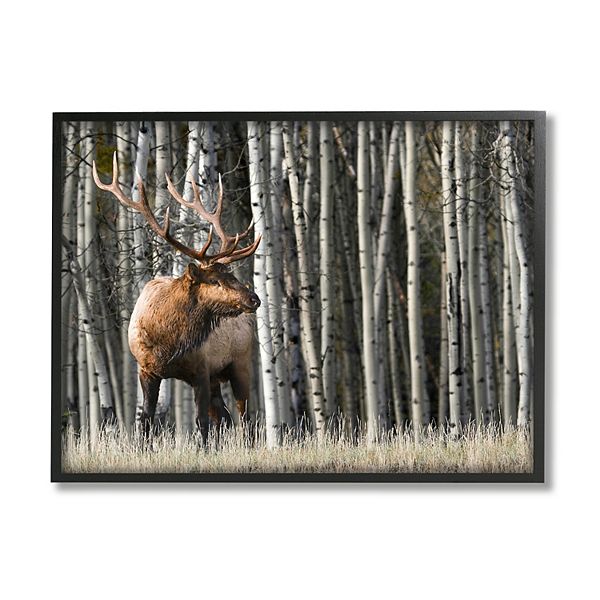 Stupell Home Decor Elk Birch Trees Framed Wall Art