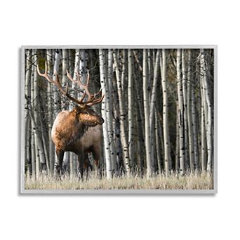 Stupell Home Decor Elk Birch Trees Silver Finish Framed Wall Art