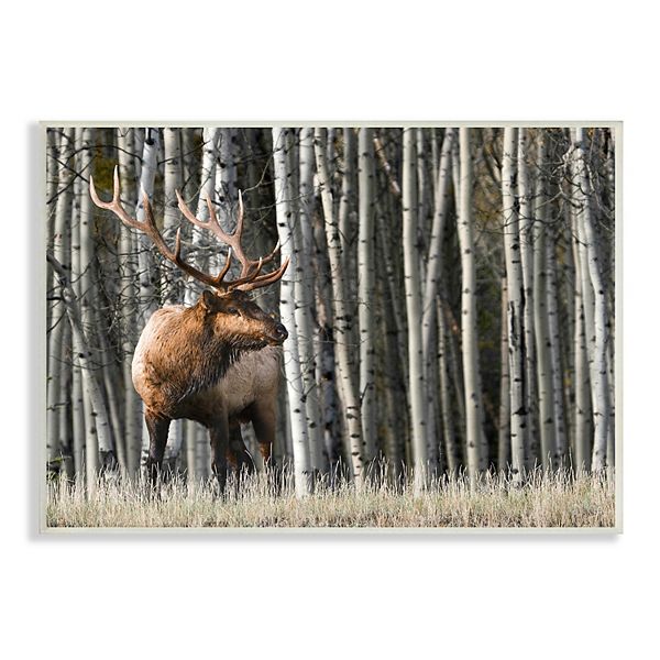 Stupell Home Decor Elk Birch Trees Plaque Wall Art