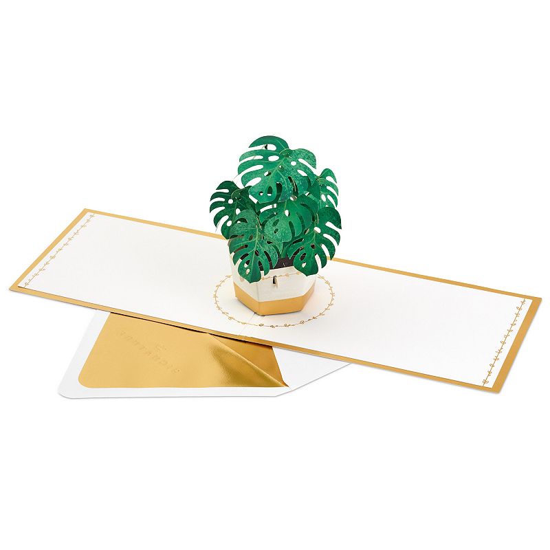 Hallmark Signature Paper Wonder Pop Up Monstera Thinking of You Card, Encouragement Card, Multicolor