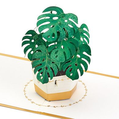 Hallmark Signature Paper Wonder Pop Up Monstera Thinking of You Card, Encouragement Card