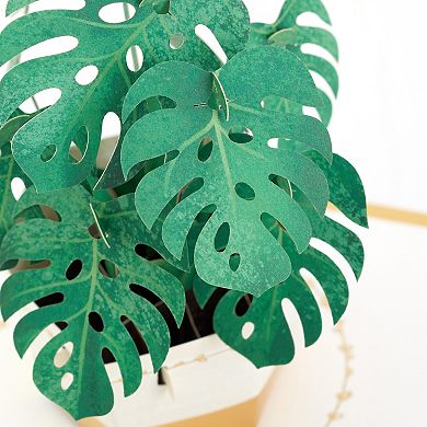 Hallmark Signature Paper Wonder Pop Up Monstera Thinking of You Card, Encouragement Card