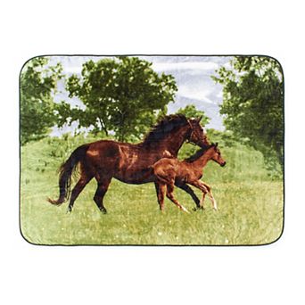 Shavel Home Products High Pile Oversized Luxury Throw