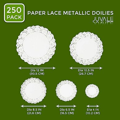 250 Pack Lace Paper Doilies for Arts and Crafts, Round White Table Placemats (5 Sizes)