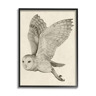 Stupell Home Decor Vintage Barn Owl Framed Wall Art