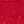 Jester Red