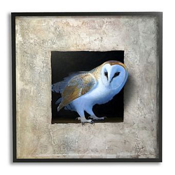 Stupell Home Decor Barn Owl Perched Framed Wall Art