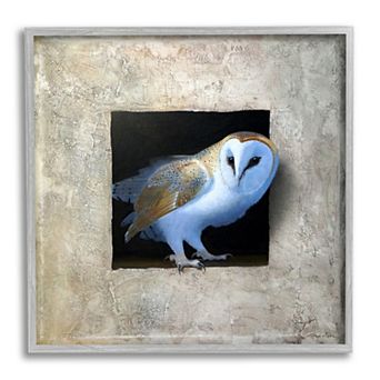 Stupell Home Decor Barn Owl Perched Silver Finish Framed Wall Art