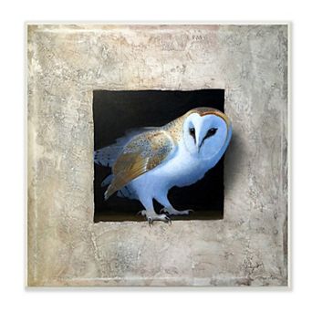 Stupell Home Decor Barn Owl Perched Plaque Wall Art