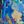 Blue Yellow