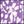 Lilac White