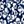 Navy Ivory