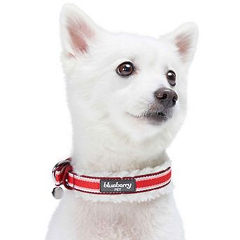 Soft & Comfy Sherpa Fleece Padded Dog Collar in Multi-Color Stripes
