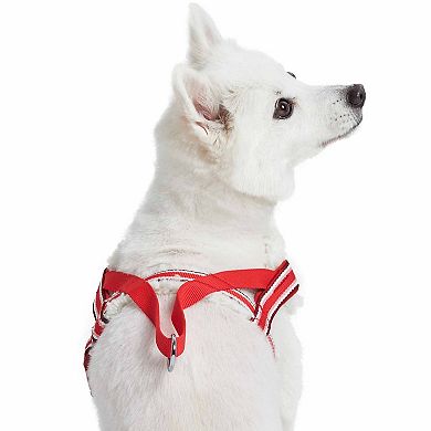 Soft & Comfy Sherpa Fleece Padded Chest Dog Harness in Multi-color Stripes