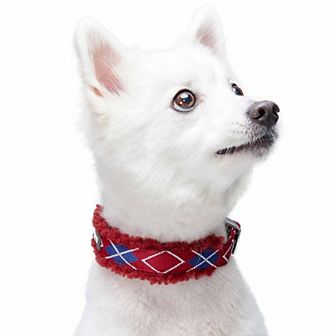 Soft & Comfy Sherpa Fleece Padded Dog Collar in Scottish Argyle