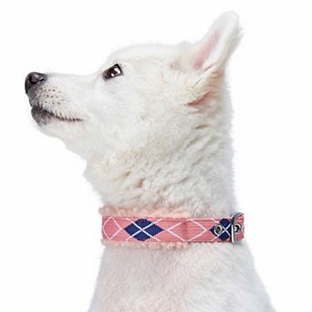 Soft & Comfy Sherpa Fleece Padded Dog Collar in Scottish Argyle