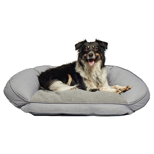 Kohls 2024 pet beds