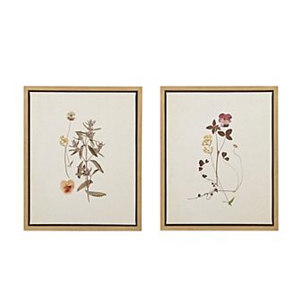Madison Park French Herbarium Framed Canvas Wall Art 2 pc Set