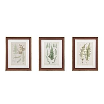 Madison Park Lady Fern Framed Wall Art 3 pc Set