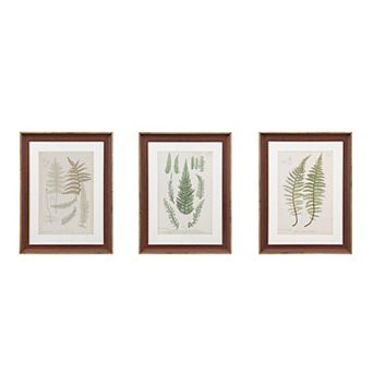 Madison Park Lady Fern Framed Wall Art 3 pc Set