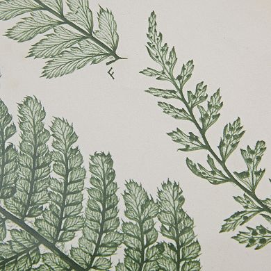 Madison Park Lady Fern Framed Wall Art 3-piece Set