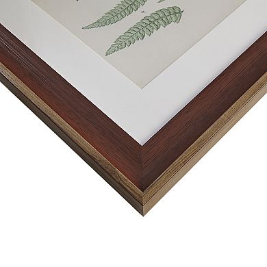 Martha Stewart Lady Fern Framed Wall Art 3-piece Set