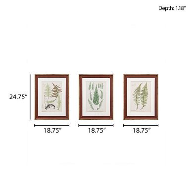 Madison Park Lady Fern Framed Wall Art 3-piece Set