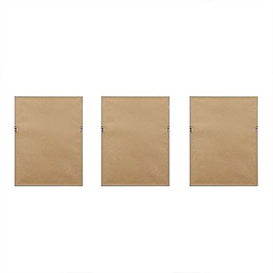 Madison Park Lady Fern Framed Wall Art 3-piece Set