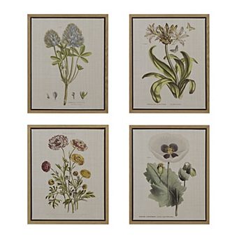 Madison Park Herbal Botany Framed Canvas Wall Art 4 pc Set