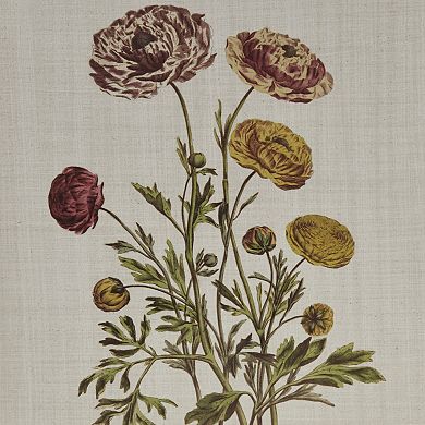 Madison Park Herbal Botany Framed Canvas Wall Art 4-piece Set