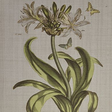 Martha Stewart Herbal Botany Framed Wall Art 4-piece Set