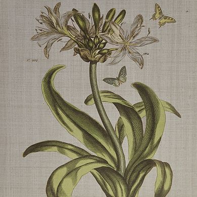 Madison Park Herbal Botany Framed Canvas Wall Art 4-piece Set