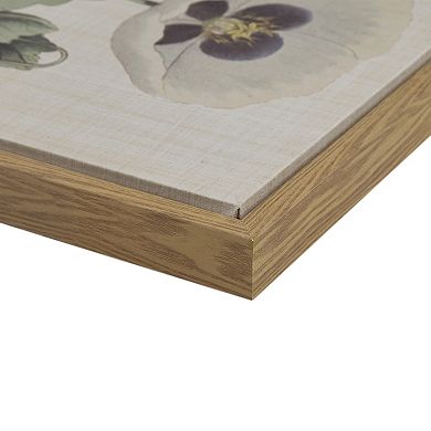 Madison Park Herbal Botany Framed Canvas Wall Art 4-piece Set