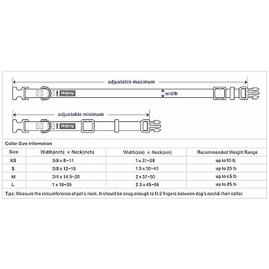 Better Basics Reflective Dog Collar