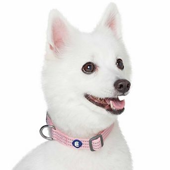 Better Basics Reflective Dog Collar