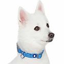 Collars & Leashes