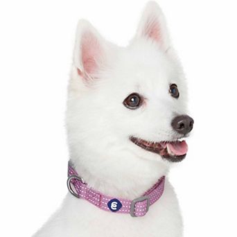 Better Basics Reflective Dog Collar
