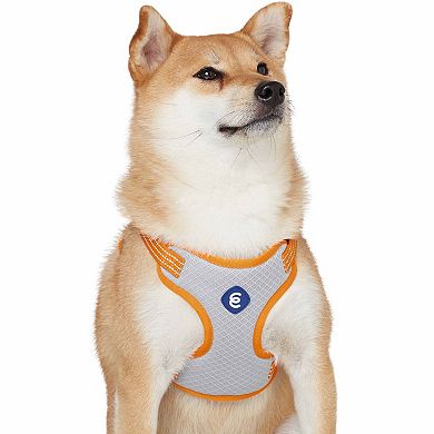 Better Basics No Pull Reflective Dog Harness Vest