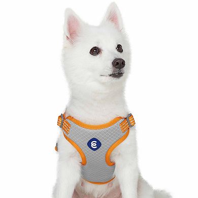 Better Basics No Pull Reflective Dog Harness Vest