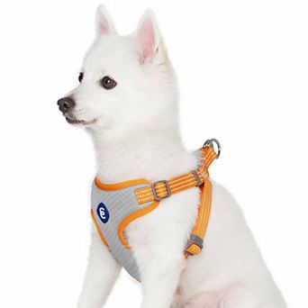 Better Basics No Pull Reflective Dog Harness Vest