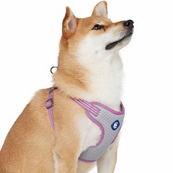 Better Basics No Pull Reflective Dog Harness Vest
