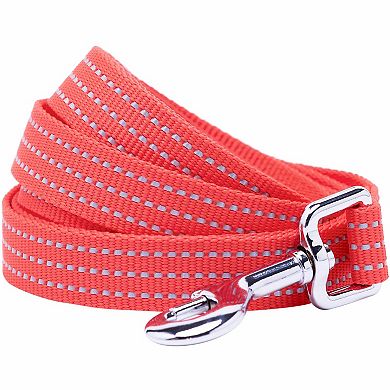 Better Basics Reflective Dog Leash