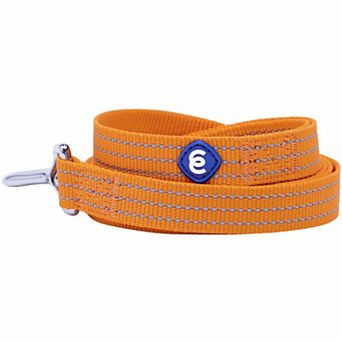 Better Basics Reflective Dog Leash
