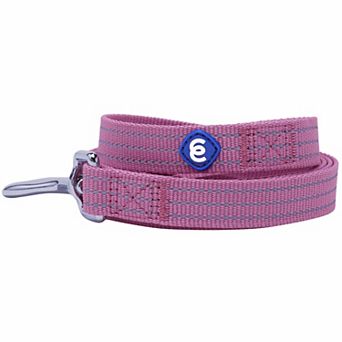 Better Basics Reflective Dog Leash