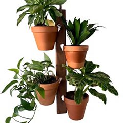 Cast Iron Copper Wall Hanging Flower Pot Holder Mounted Planter