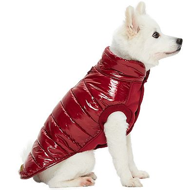 All-weather Quilted Windproof Dog Glossy Puffer Jacket