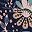 Navy Multi