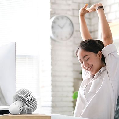 Sharper Image Refresh Desktop Fan