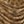 Beige Khaki